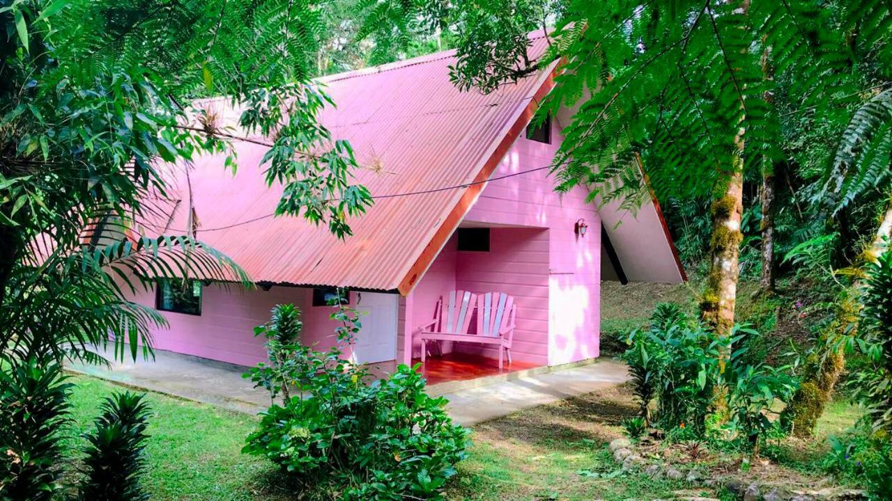 Cabanas Las Orquideas Zapotal  Pokoj fotografie