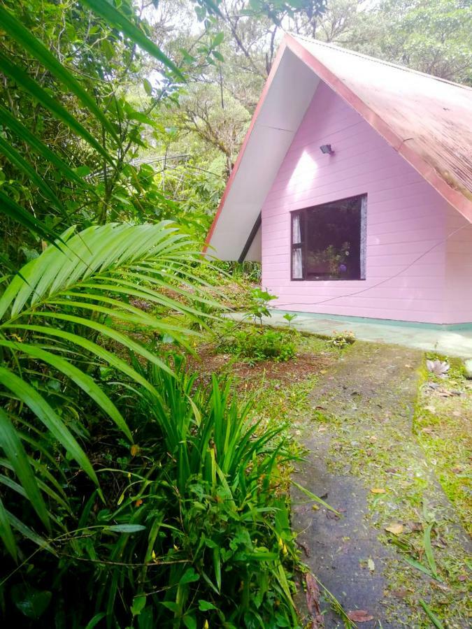 Cabanas Las Orquideas Zapotal  Pokoj fotografie