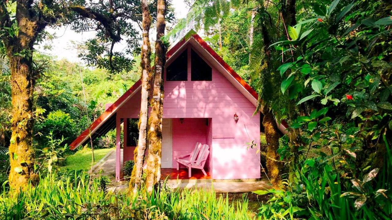 Cabanas Las Orquideas Zapotal  Exteriér fotografie