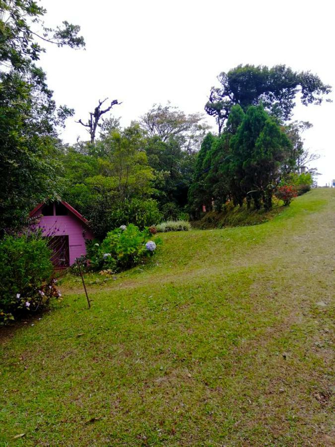Cabanas Las Orquideas Zapotal  Exteriér fotografie