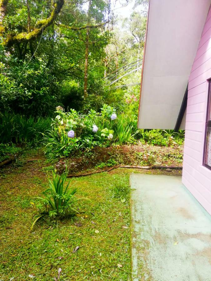 Cabanas Las Orquideas Zapotal  Exteriér fotografie